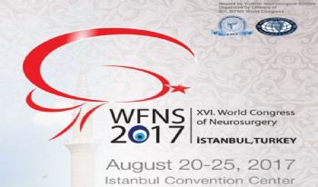 WFNS 2017, İstanbul, Turkey