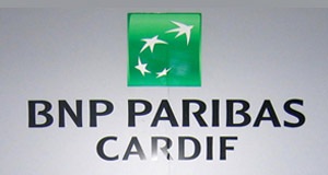 TEB BNP PARİBAS CARDIF